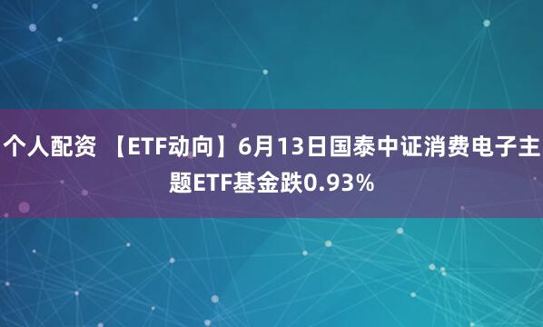 个人配资 【ETF动向】6月13日国泰中证消费电子主题ETF基金跌0.93%